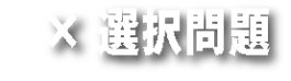 ◯✕選択問題